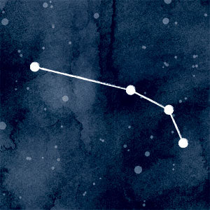 Aries Constellation Wii (Includes 1 Controller) Skin